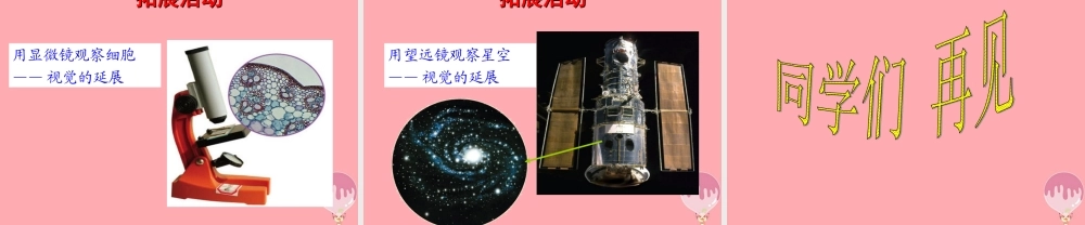 三年级科学上册 2.1 怎样认识物体课件3 青岛版五四制-青岛版小学三年级上册自然科学课件
