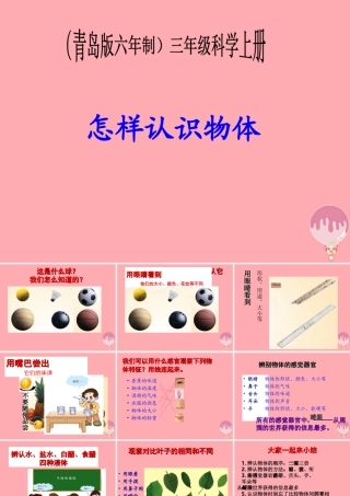 三年级科学上册 2.1 怎样认识物体课件3 青岛版五四制-青岛版小学三年级上册自然科学课件
