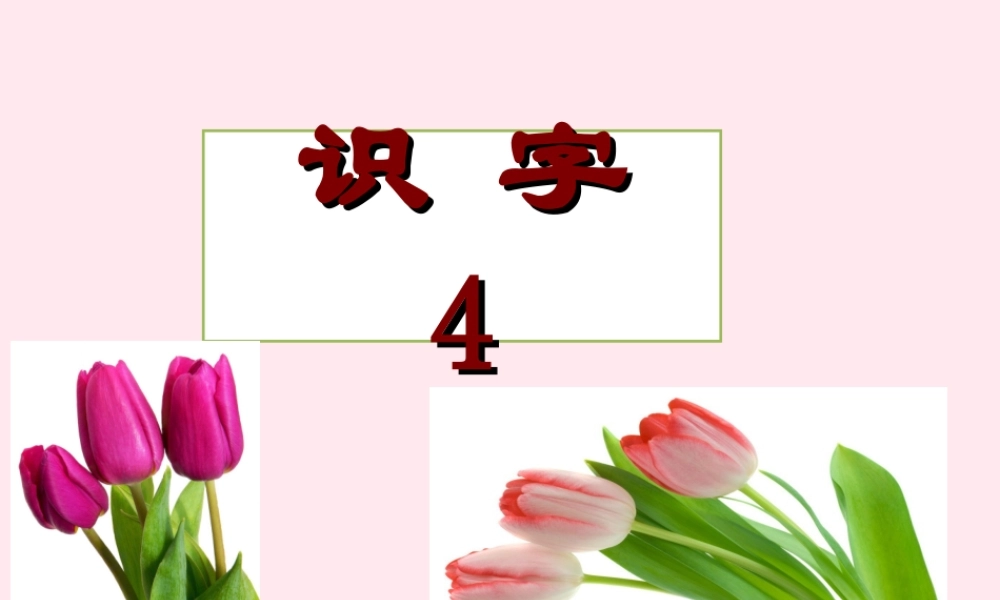 一年级语文下册 识字（一）识字4 车 轮 轨 载 输课件 苏教版-苏教版小学一年级下册语文课件