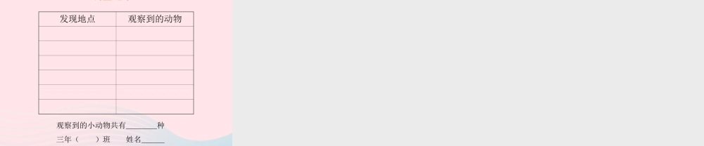 三年级科学上册 2.1《寻访小动物》课件（1） 教科版-教科版小学三年级上册自然科学课件