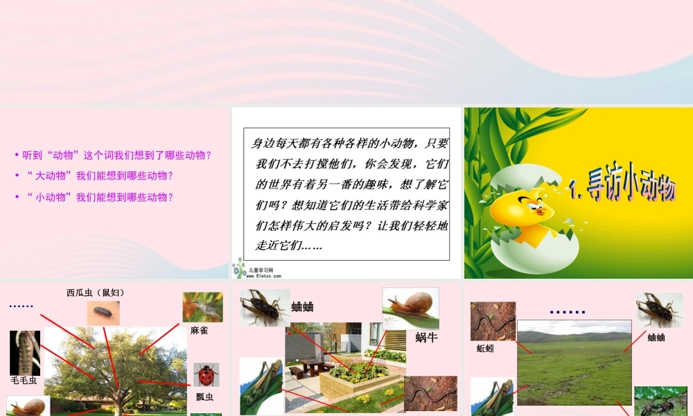 三年级科学上册 2.1《寻访小动物》课件（2） 教科版-教科版小学三年级上册自然科学课件