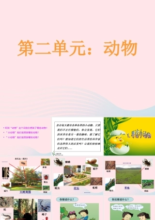 三年级科学上册 2.1《寻访小动物》课件（2） 教科版-教科版小学三年级上册自然科学课件