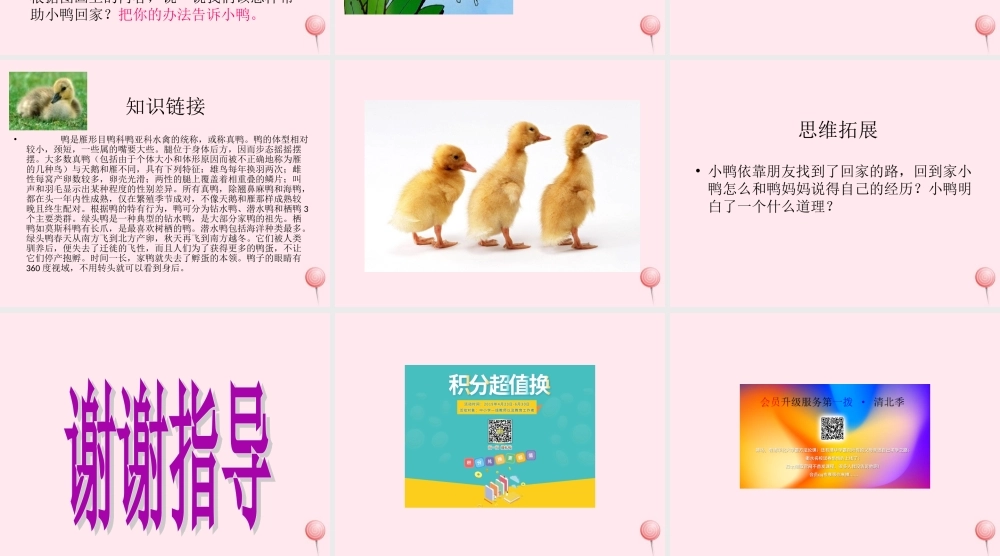 一年级语文下册 口语交际《小鸭，你别急》课件2 湘教版-湘教版小学一年级下册语文课件