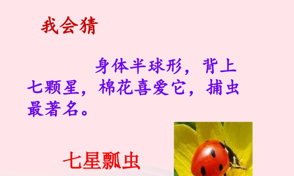 三年级科学上册 2.1《寻访小动物》课件（3） 教科版-教科版小学三年级上册自然科学课件