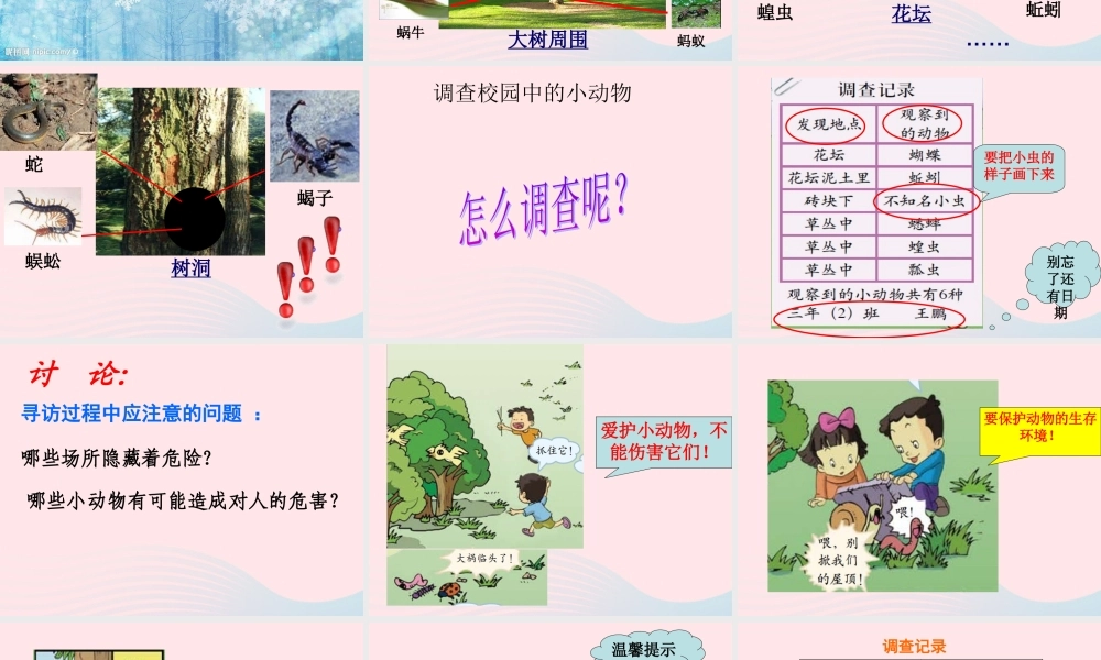 三年级科学上册 2.1《寻访小动物》课件（3） 教科版-教科版小学三年级上册自然科学课件