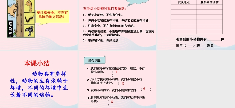 三年级科学上册 2.1《寻访小动物》课件（3） 教科版-教科版小学三年级上册自然科学课件