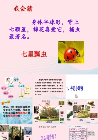 三年级科学上册 2.1《寻访小动物》课件（3） 教科版-教科版小学三年级上册自然科学课件