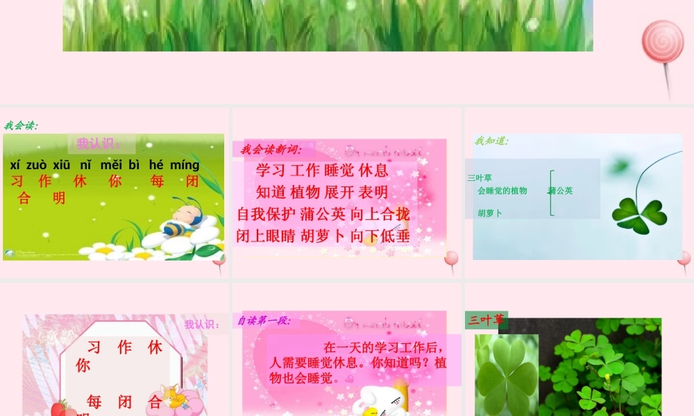 一年级语文下册 课文4 第14课《会睡觉的植物》课件 苏教版-苏教版小学一年级下册语文课件