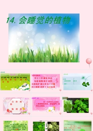 一年级语文下册 课文4 第14课《会睡觉的植物》课件 苏教版-苏教版小学一年级下册语文课件