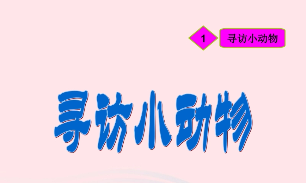 三年级科学上册 2.1《寻访小动物》课件（4） 教科版-教科版小学三年级上册自然科学课件
