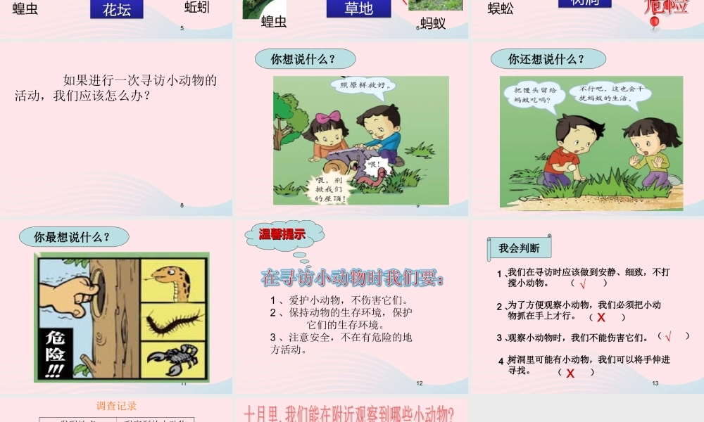 三年级科学上册 2.1《寻访小动物》课件（4） 教科版-教科版小学三年级上册自然科学课件