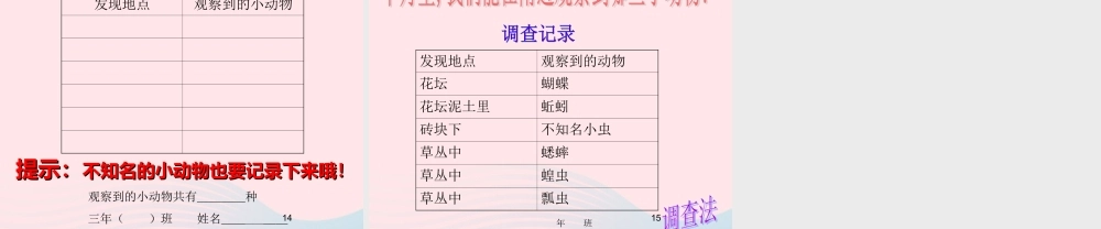 三年级科学上册 2.1《寻访小动物》课件（4） 教科版-教科版小学三年级上册自然科学课件