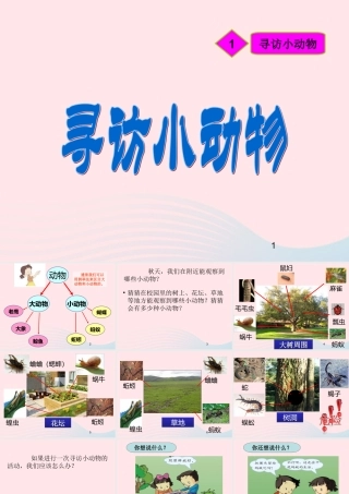 三年级科学上册 2.1《寻访小动物》课件（4） 教科版-教科版小学三年级上册自然科学课件