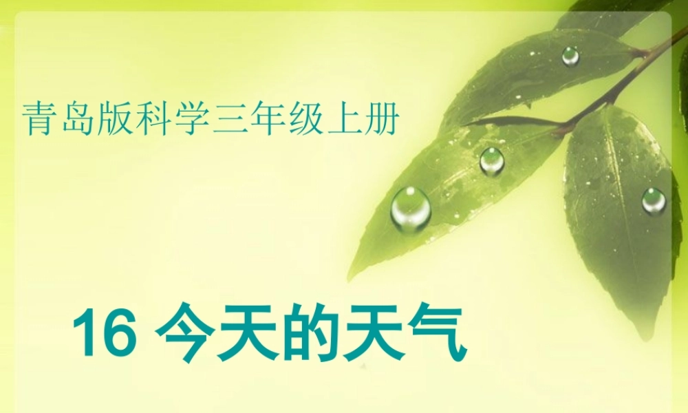 三年级科学上册 5.1 今天的天气课件1 青岛版五四制-青岛版小学三年级上册自然科学课件