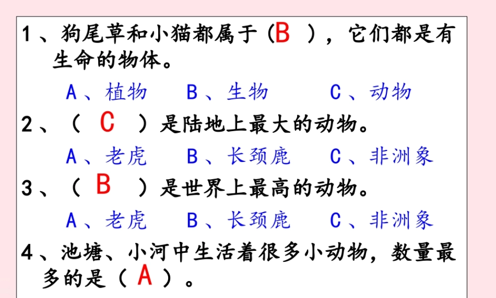 三年级科学上册 2.1《寻访小动物》课件（5） 教科版-教科版小学三年级上册自然科学课件