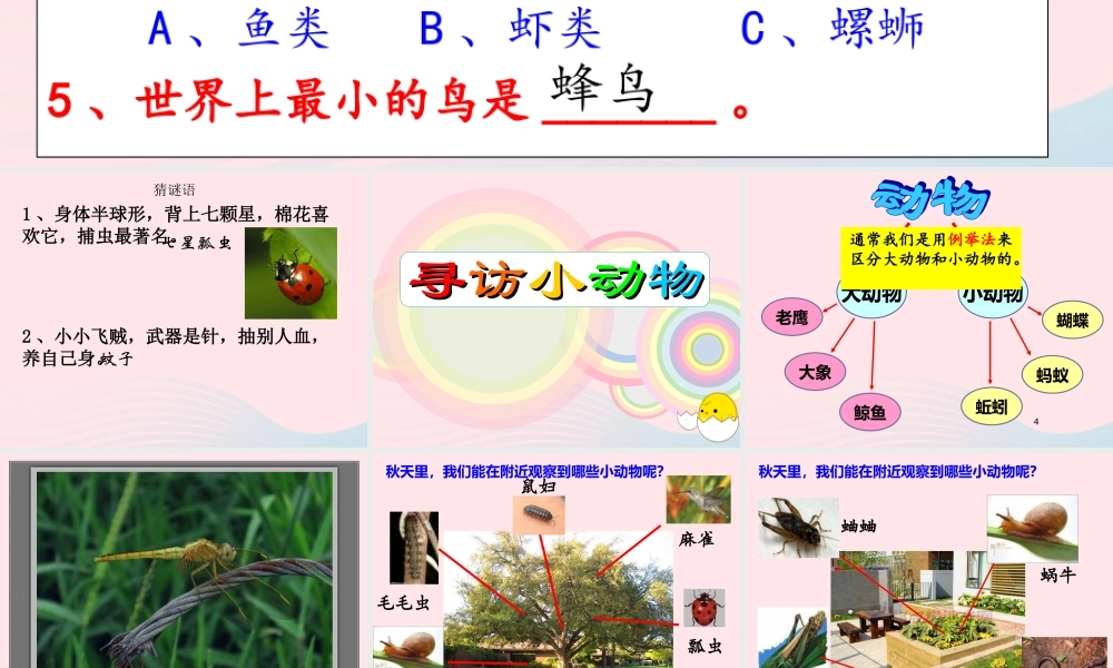 三年级科学上册 2.1《寻访小动物》课件（5） 教科版-教科版小学三年级上册自然科学课件