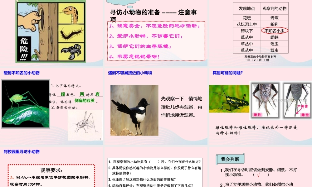三年级科学上册 2.1《寻访小动物》课件（5） 教科版-教科版小学三年级上册自然科学课件