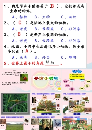 三年级科学上册 2.1《寻访小动物》课件（5） 教科版-教科版小学三年级上册自然科学课件