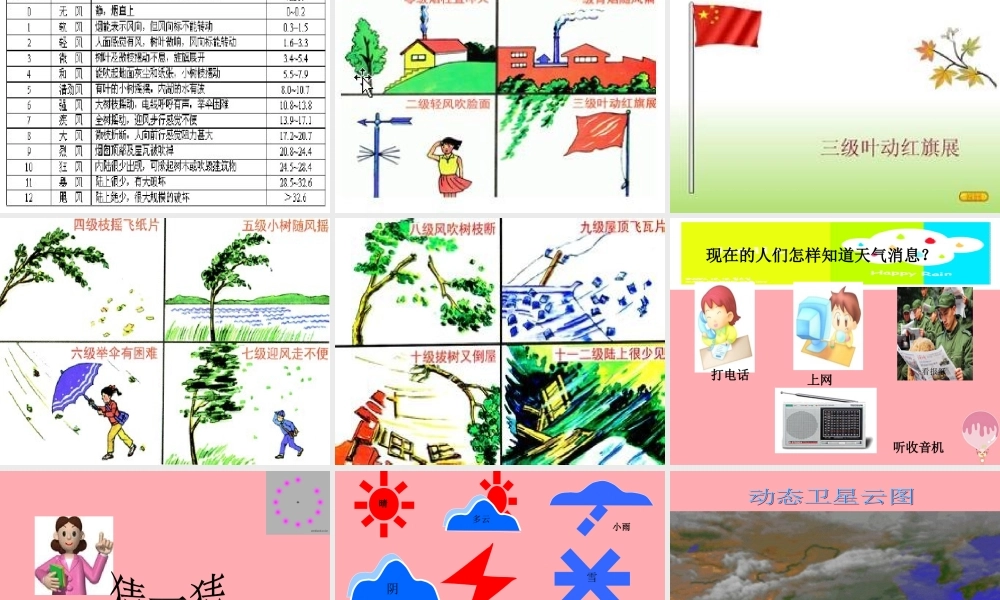 三年级科学上册 5.1 今天的天气课件3 青岛版五四制-青岛版小学三年级上册自然科学课件