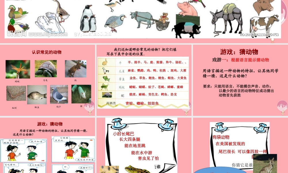 三年级科学上册 2.2 常见的动物课件1 湘教版-湘教版小学三年级上册自然科学课件