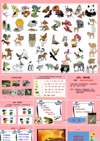 三年级科学上册 2.2 常见的动物课件1 湘教版-湘教版小学三年级上册自然科学课件