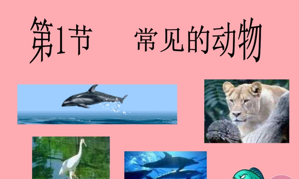 三年级科学上册 2.2 常见的动物课件2 湘教版-湘教版小学三年级上册自然科学课件