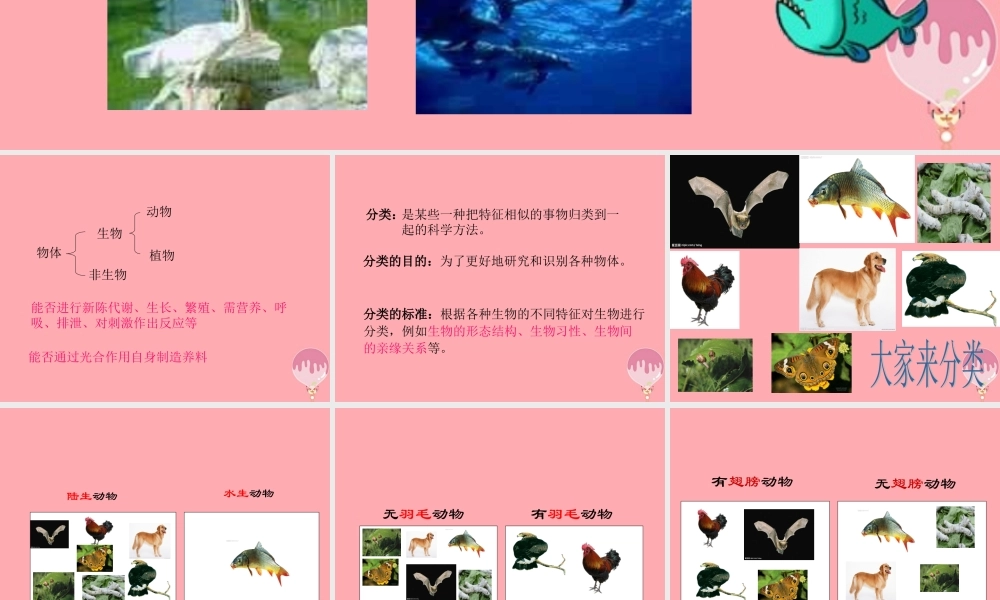 三年级科学上册 2.2 常见的动物课件2 湘教版-湘教版小学三年级上册自然科学课件