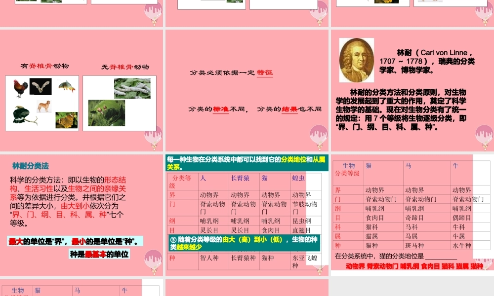 三年级科学上册 2.2 常见的动物课件2 湘教版-湘教版小学三年级上册自然科学课件