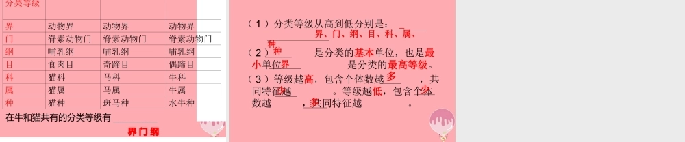 三年级科学上册 2.2 常见的动物课件2 湘教版-湘教版小学三年级上册自然科学课件