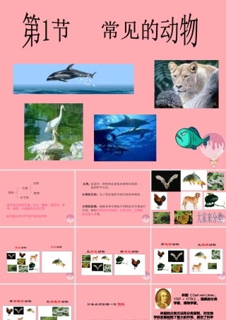 三年级科学上册 2.2 常见的动物课件2 湘教版-湘教版小学三年级上册自然科学课件