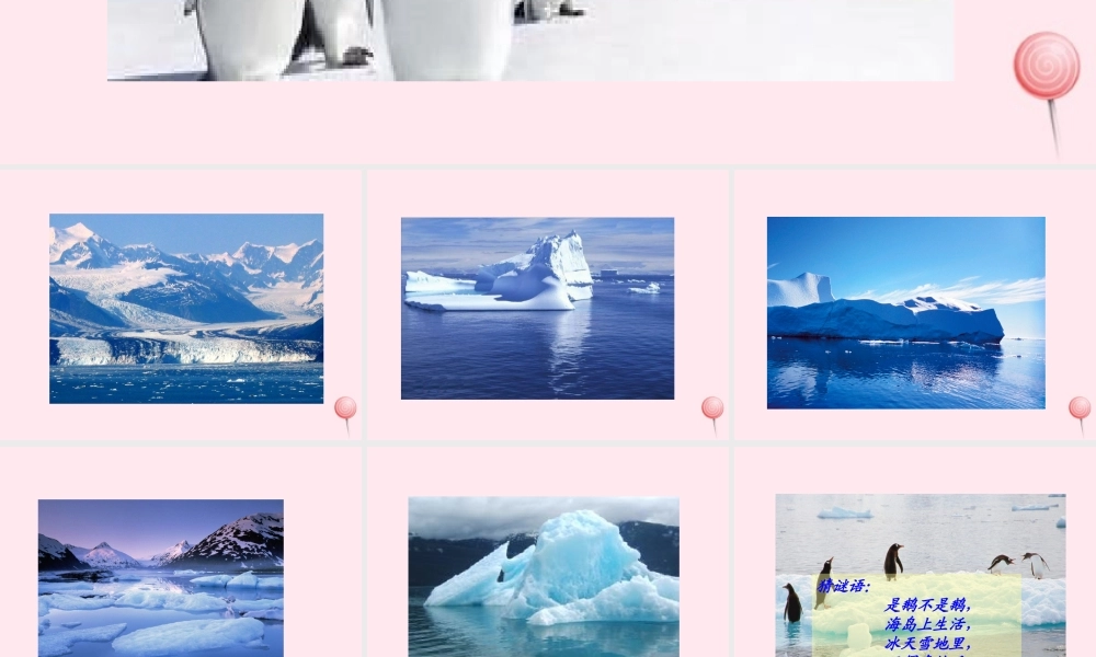 一年级语文下册 课文4 第15课《南极的主人》课件 苏教版-苏教版小学一年级下册语文课件