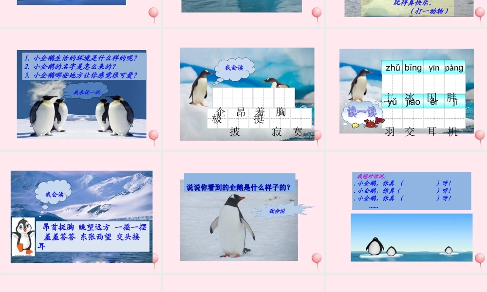 一年级语文下册 课文4 第15课《南极的主人》课件 苏教版-苏教版小学一年级下册语文课件