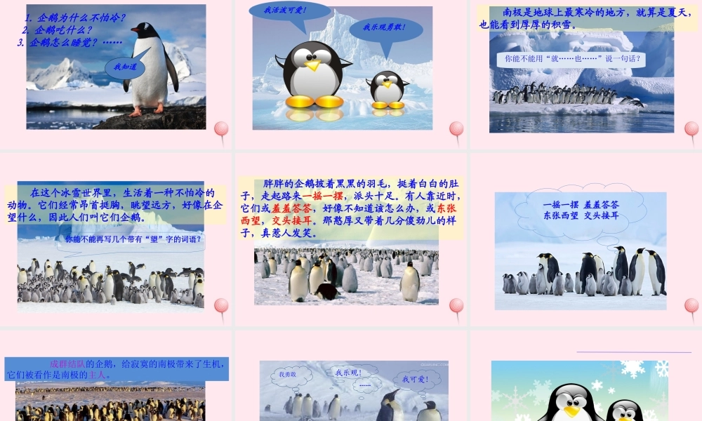 一年级语文下册 课文4 第15课《南极的主人》课件 苏教版-苏教版小学一年级下册语文课件