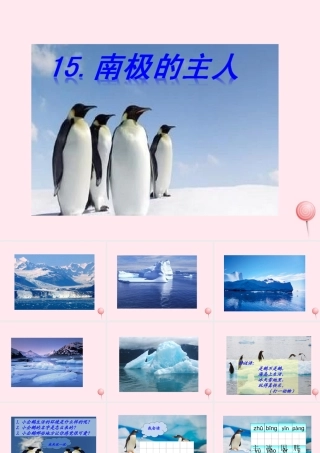 一年级语文下册 课文4 第15课《南极的主人》课件 苏教版-苏教版小学一年级下册语文课件