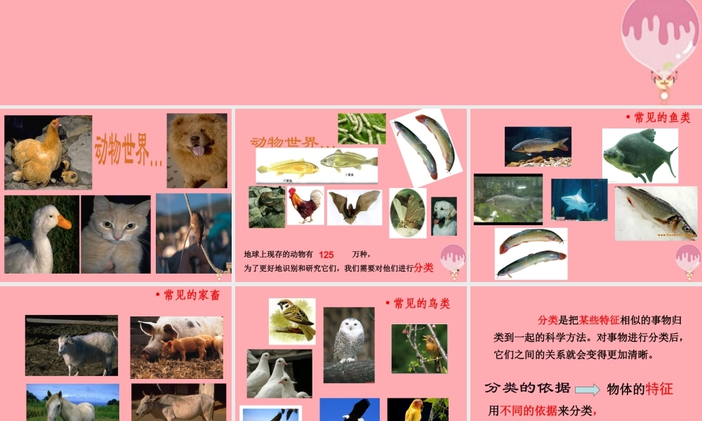 三年级科学上册 2.2 常见的动物课件3 湘教版-湘教版小学三年级上册自然科学课件