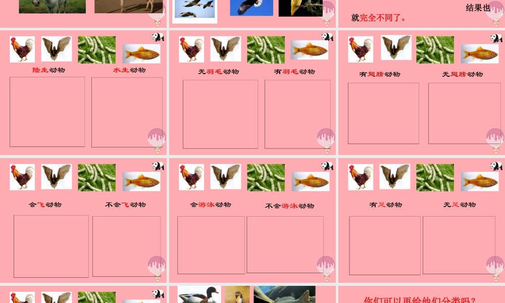 三年级科学上册 2.2 常见的动物课件3 湘教版-湘教版小学三年级上册自然科学课件