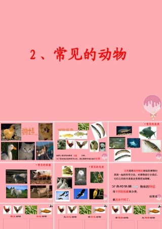 三年级科学上册 2.2 常见的动物课件3 湘教版-湘教版小学三年级上册自然科学课件
