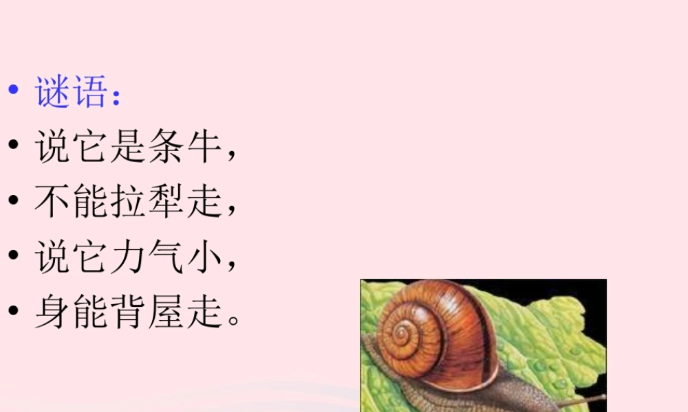 三年级科学上册 2.2《蜗牛一》课件（1） 教科版-教科版小学三年级上册自然科学课件