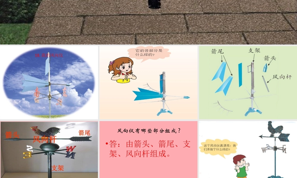 三年级科学上册 5.2 我的风向标课件1 青岛版五四制-青岛版小学三年级上册自然科学课件