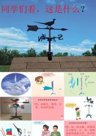 三年级科学上册 5.2 我的风向标课件1 青岛版五四制-青岛版小学三年级上册自然科学课件