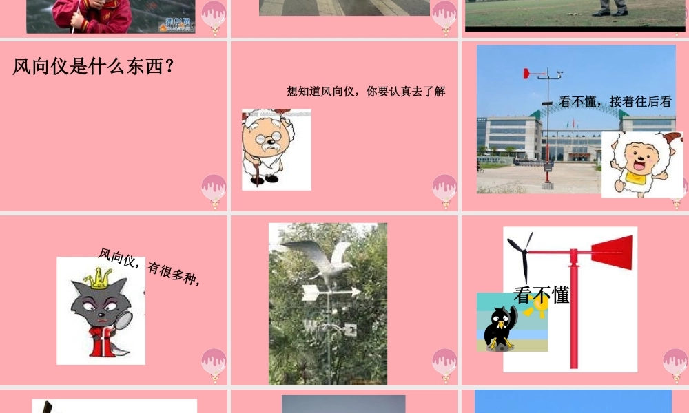 三年级科学上册 5.2 我的风向标课件2 青岛版五四制-青岛版小学三年级上册自然科学课件