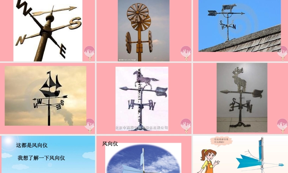 三年级科学上册 5.2 我的风向标课件2 青岛版五四制-青岛版小学三年级上册自然科学课件