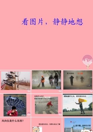 三年级科学上册 5.2 我的风向标课件2 青岛版五四制-青岛版小学三年级上册自然科学课件