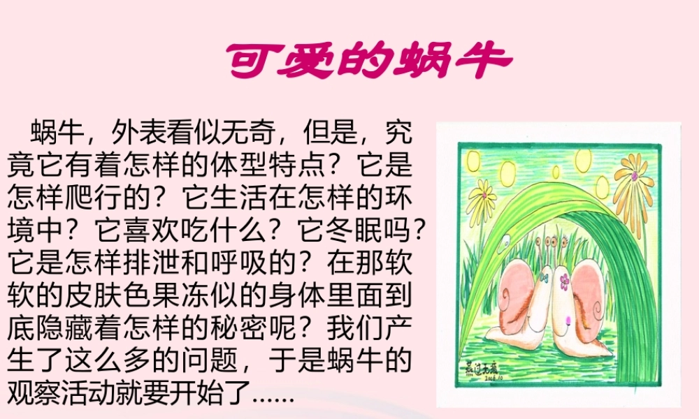 三年级科学上册 2.2《蜗牛一》课件（2） 教科版-教科版小学三年级上册自然科学课件