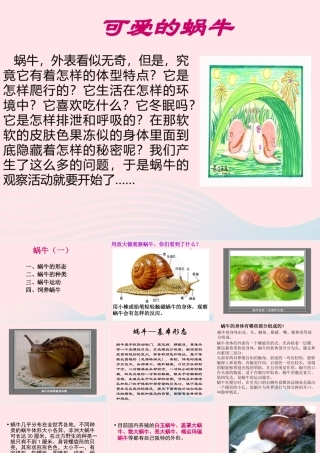 三年级科学上册 2.2《蜗牛一》课件（2） 教科版-教科版小学三年级上册自然科学课件