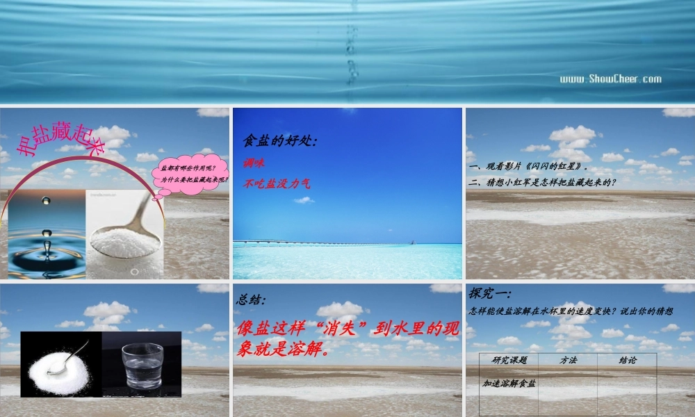 三年级科学下册 把盐藏起来课件2 大象版