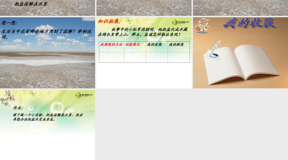 三年级科学下册 把盐藏起来课件2 大象版