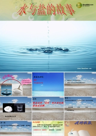 三年级科学下册 把盐藏起来课件2 大象版