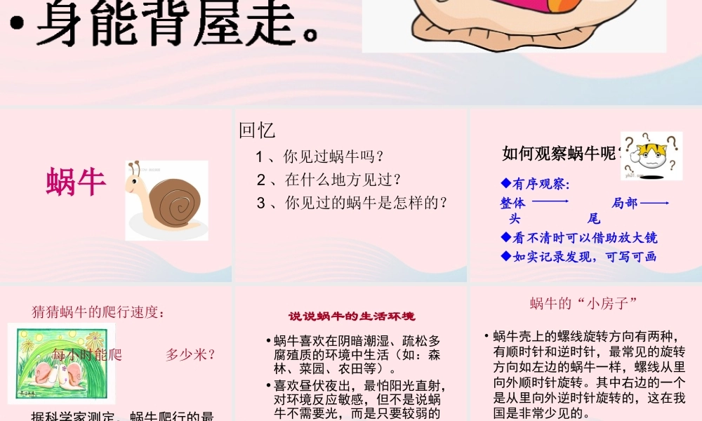 三年级科学上册 2.2《蜗牛一》课件（4） 教科版-教科版小学三年级上册自然科学课件