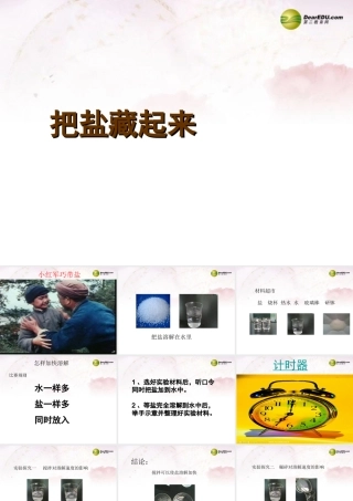 三年级科学下册 把盐藏起来课件3 大象版